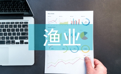 漁業安全事故