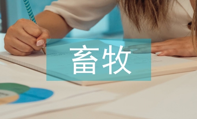 畜牧市場論文