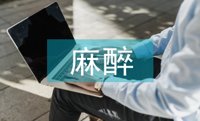麻醉醫(yī)生工作總結(jié)