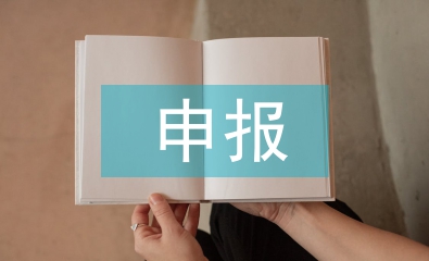 申報項目材料