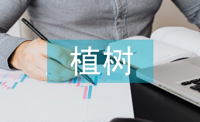 植樹(shù)活動(dòng)總結(jié)