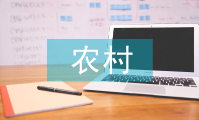 農(nóng)村電子商務(wù)論文
